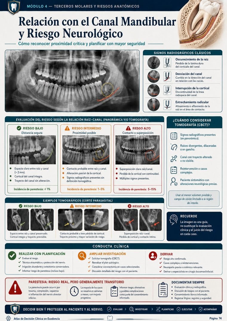Relación con el Canal Mandibular y Riesgo Neurológico